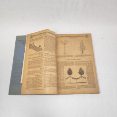 Fratelli Sgaravatti Padova catalogo piante e sementi primi del 900 2