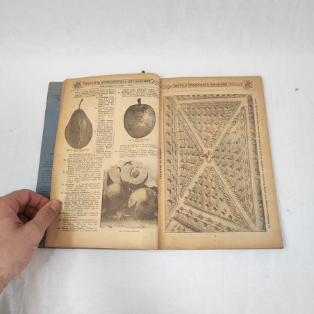 Fratelli Sgaravatti Padova catalogo piante e sementi primi del 900