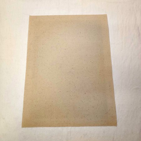 Poster originale Biscottini Bertani di Ferrari Novara anni 20