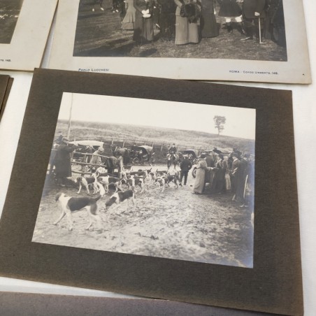 Lotto di 16 foto originali caccia alla volpe e cavalli primi anni del 900
