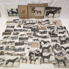 Lotto di circa 140 foto a soggetto cavalli periodo primo del 900