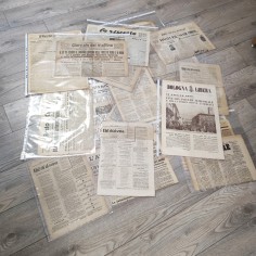 Lotto di 26 quotidiani editi a Bologna anni fine 800 primi del 900