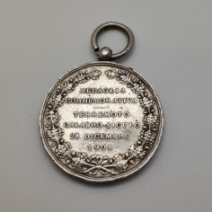 Medaglia Vittorio Emanuele III per il terremoto Calabro Siculo 1908 2