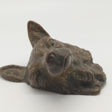 Scultura fusione in bronzo testa di cane o lupo 12x10 cm