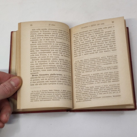 Grazzi Soncini  Il VINO Manuale Hoepli 1892 11x15 cm ottimo