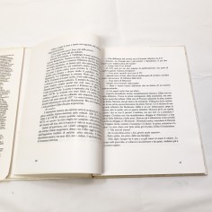 Libro Gilles Vivo - Cesare de Agostini La Febbre Villeneuve 6° ed. 1988 2