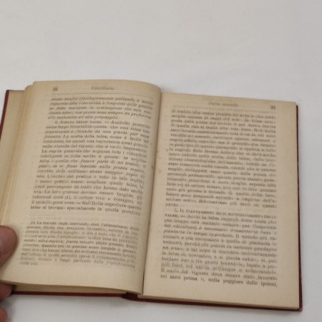 Manuale Hoepli - Viticolura - Ottavi Strucchi 3° ed. 1892
