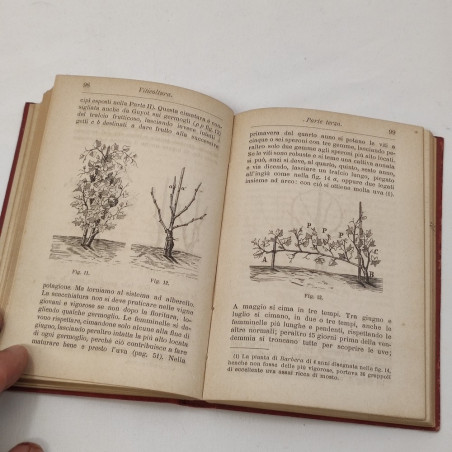 Manuale Hoepli - Viticolura - Ottavi Strucchi 3° ed. 1892