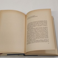Aldo Santini - Nuvolari - Il mantovano al volante - Rizzoli 1983 2