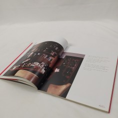 Libro Sergio Castellitto in un film di Carlo Carlei Ferrari Philippe Antonello 2 2