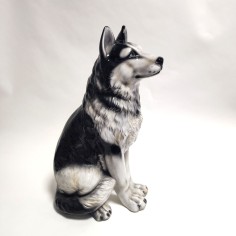 Statua in ceramica cane Husky seduto h. 58 cm bella fattura 2
