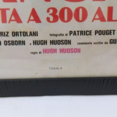 Fangio Una vita a 300 all’ora Locandina cinema originale con cornice 2