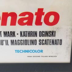 Dudù il maggiolino scatenato. J. Fuchsberger R. Mark 1974 Locandina cinema 2