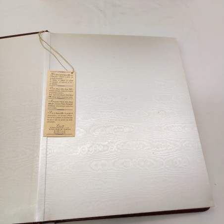 Album fotografico in cuoio con fregi dorati e valigetta