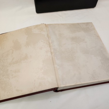 Album fotografico in cuoio con fregi dorati e valigetta
