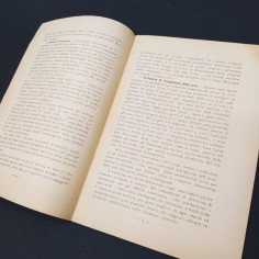 Conferenze Hondemont L’aviazione assegnata alle grandi unità 1918 Macchie 2