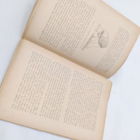 Volume I palloni dirigibili Rosario Federico Ed. Antonio Vallardi Macchie