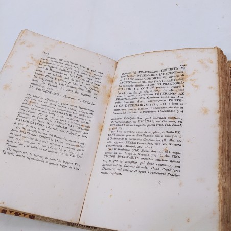 Dichiarazione degli antichi marmi modenesi Cavedoni 1828 Macchie
