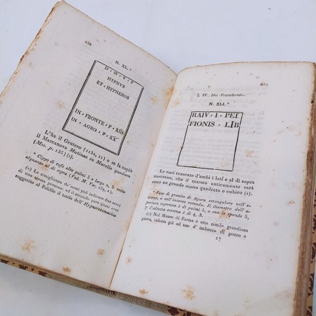 Dichiarazione degli antichi marmi modenesi Cavedoni 1828 Macchie