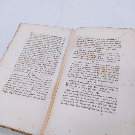 Dichiarazione degli antichi marmi modenesi Cavedoni 1828 Macchie