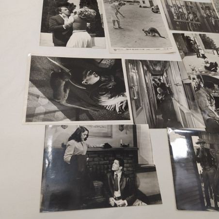 Lotto 16 foto originali film anni '50-'60