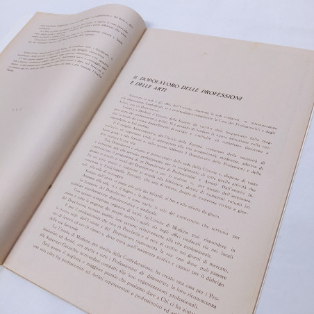 Relazione Unione fascista dei professionisti Modena 1939 - Ingiallimenti