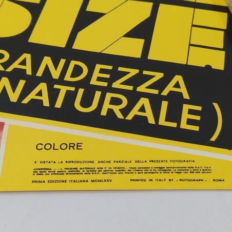Manifesto film Life size con autografo Michel Piccoli