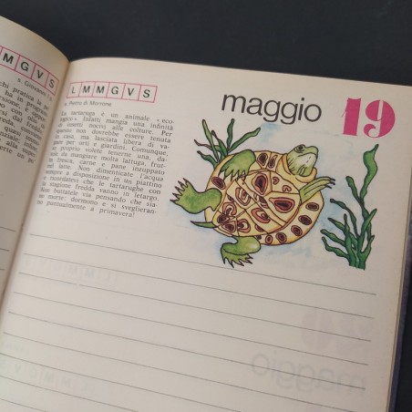 Libro Teen Agers Diario