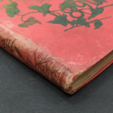 Libro The children’s friend Vol. XXX 1890