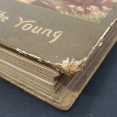 Libro Sunday 1905 Reading for the young Wells Gardner 1905