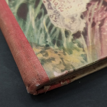 Libro Picture Show Annual 1956 1956