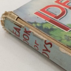 Libro Ideal book for boys 2