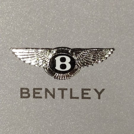 Libro Continental GT Bentley 2009