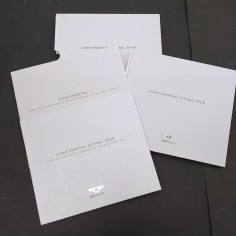 Libro Continental Flying Spur Bentley 2008 2
