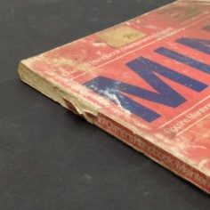 Libro MINI Owner’s book/Maintenance manual B. L. Chalmers-Hunt 2