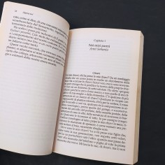 Libro Appena ieri Luca Goldoni 2006 2