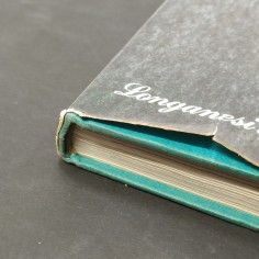 Libro Il vero pilota da corsa Baghetti e Barbieri 1966 2