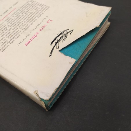 Libro Il vero pilota da corsa Baghetti e Barbieri 1966