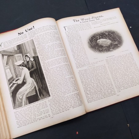 Libro The Children’s Friend for boys and girls annual for 1909 Vol. 48 1909