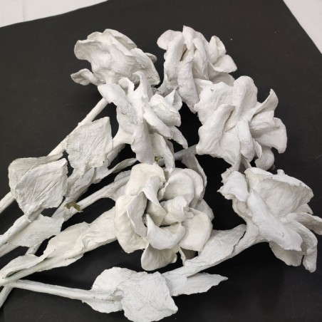 7 grandi rose in cartapesta tutte bianche h. 60 cm circa