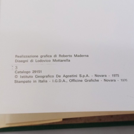 Libro Il Rally Tecnica Auto Gare - Enrico de Vita 1975