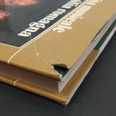 Libro Vita musicale in Emilia Romagna AAVV Consorzio tra le Banche popolari 1985 2