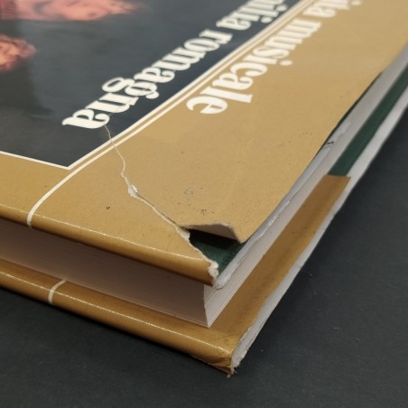 Libro Vita musicale in Emilia Romagna AAVV Consorzio tra le Banche popolari 1985