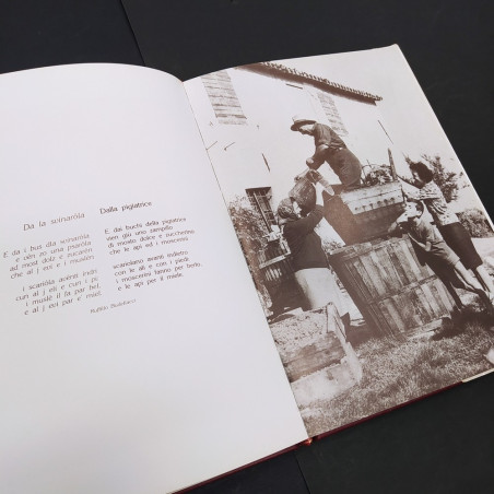 Libro Una volta in campagna – Immagini di lavori e vita contadina in Romagna fin