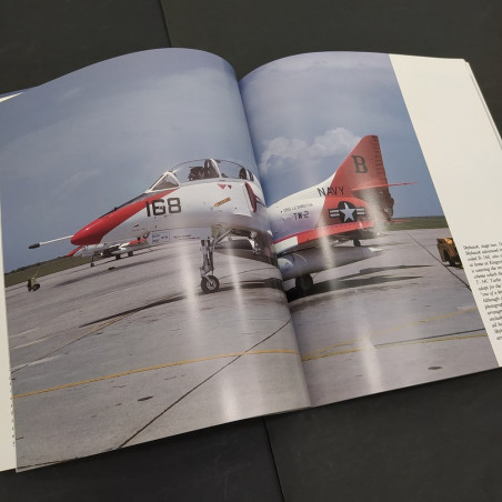 Libro Fighting colors Glory days of US aircraft markings Robert F. Dorr 1990