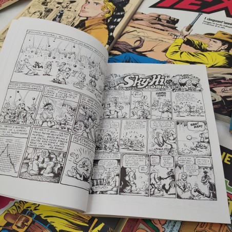 Lotto di 13 fumetti vari e diversi generi