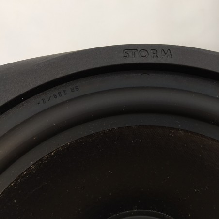 Coppia Woofer Ciare mod. Sec 2500x08 imp. 8 Ohm d. 25 cm usati testati