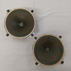 Altoparlanti full range Saba Permadyn 19-200 testati funzionanti