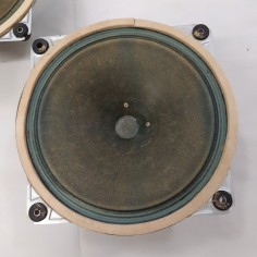 Altoparlanti full range Saba Permadyn 19-200 testati funzionanti 2