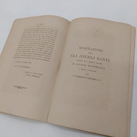 Libro Lettere di S. Luigi Gonzaga, ed. Ungher 1889. Segni del tempo